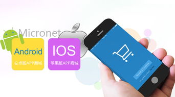 定制版app软件开发公司 app开发解决方案